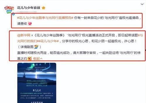 爆料冰岛最新视频,壮观景象震撼全球!
